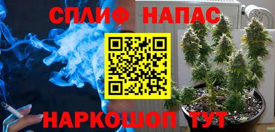 ешки Гай