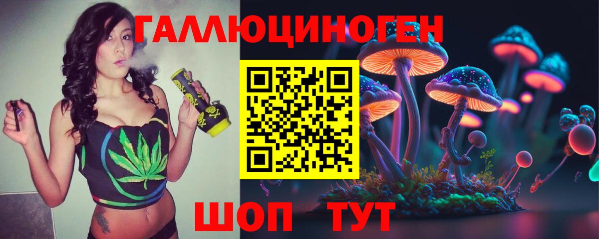 Псилоцибиновые грибы Psilocybe  что такое   Галлюциногенные грибы Psilocybe  Назрань  Вход с VPN 