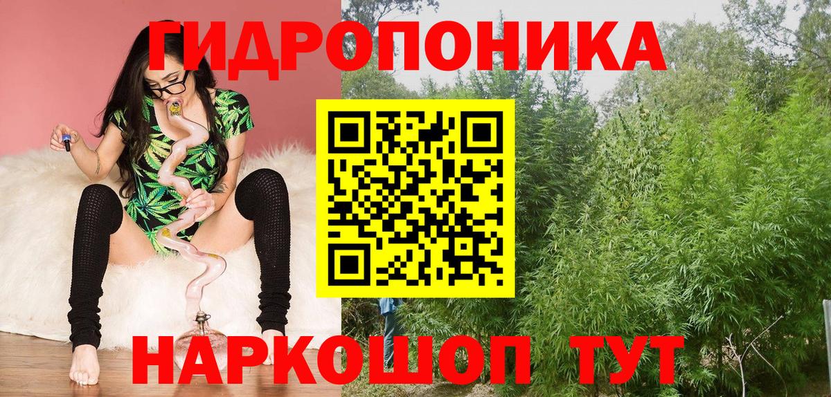 Назрань  Бошки Шишки планчик  Вход с VPN  Марихуана Amnesia 